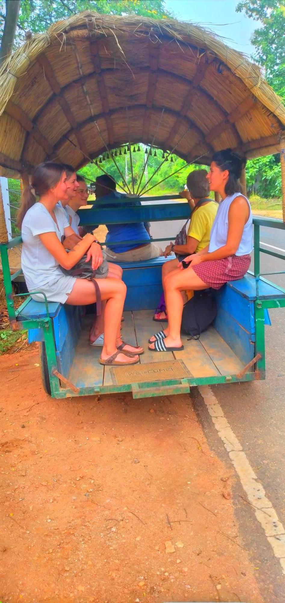 Sigiriya Nature Resort エクステリア 写真